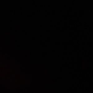 Meet your Posher, Maisie